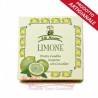 Filets de citron recouvert de chocolat. supplémentaire dark Marano Gr 200