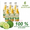 Bibita Succo e polpa di Bergamotto  al 100 % - 6 Bottiglie da 20 cl