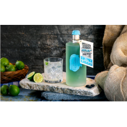 Gin finger lime Anfiarao il Calabrese bitter numéro 5 cl 70