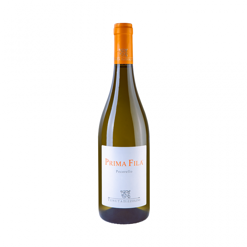 Weißwein Prima Fila igt Calabria Iuzzolini