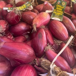 Red onion of Tropea IGP - 6 kg