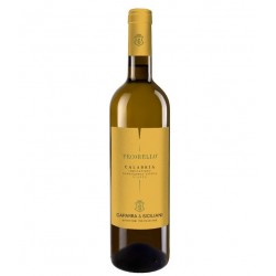 Weißwein Pecorello IGT Caparra & Siciliani