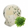 Formaggio pecorino con rucola 900 gr