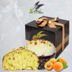 Artisan Albiciocco Panettone mit Aprikosen und weißer Schokolade