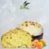 Artisan Albiciocco Panettone mit Aprikosen und weißer Schokolade