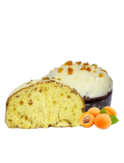 Artisan albiciocco panettone with apricots and white chocolate