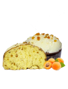 Panettone Albiciocco artisanal aux abricots et chocolat blanc