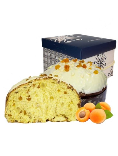 Artisan albiciocco panettone with apricots and white chocolate